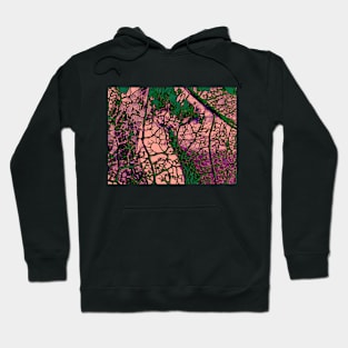 Deep Forest in Velvet Hoodie